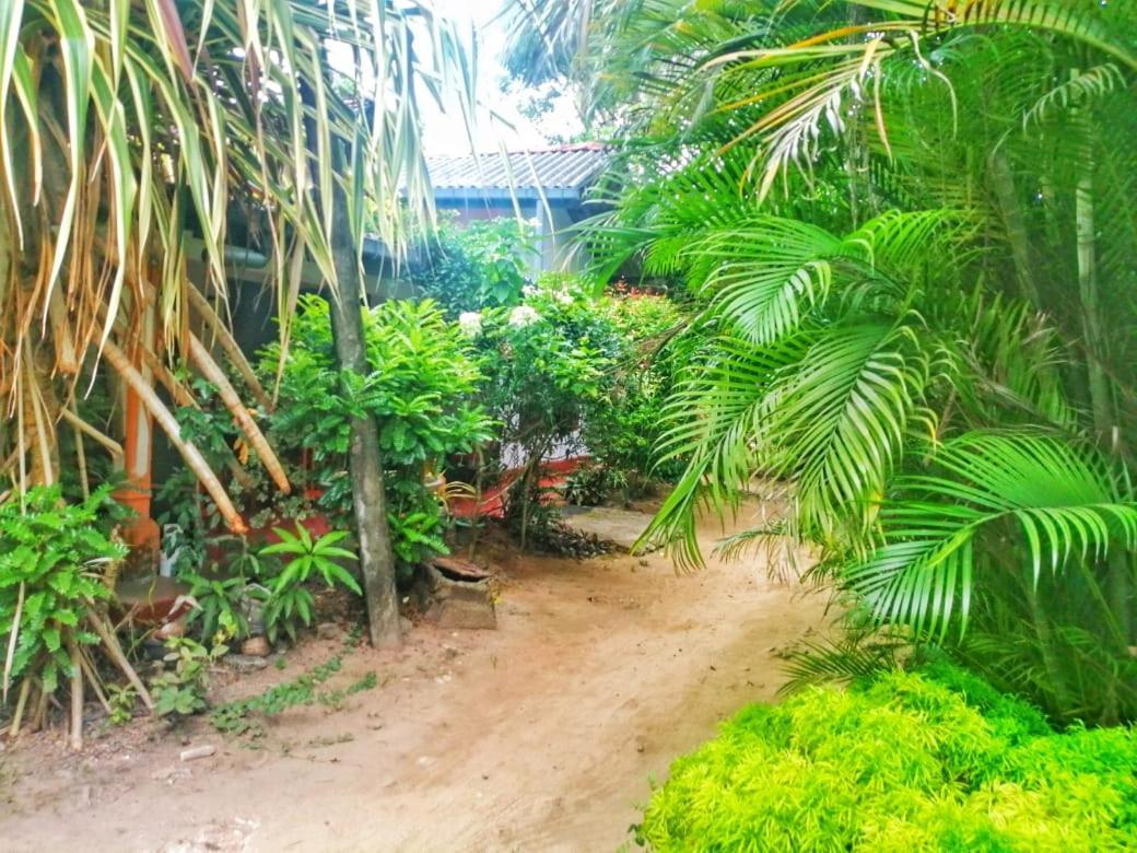 Senith Guest House Mirissa Dış mekan fotoğraf