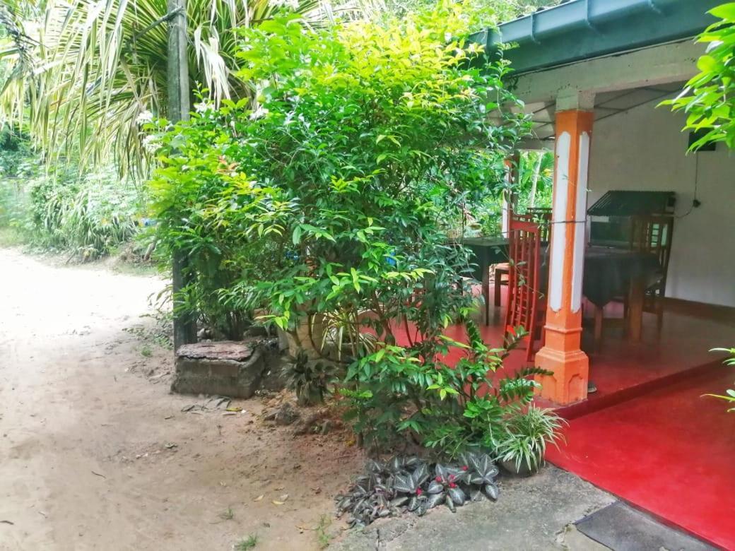 Senith Guest House Mirissa Dış mekan fotoğraf